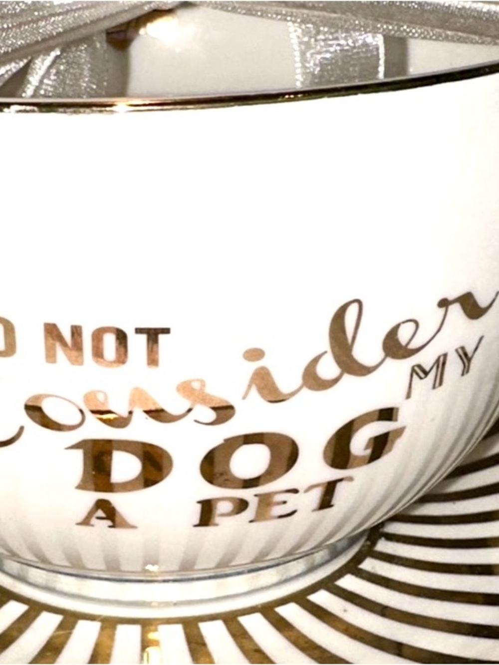 New cup & saucer with Gold Lettering “ I do not consider my dog a pet”